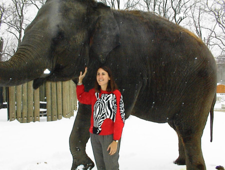 Posing with my friend Sheba the elephant