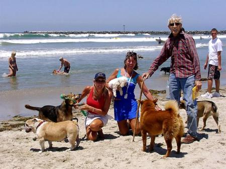 dog beach