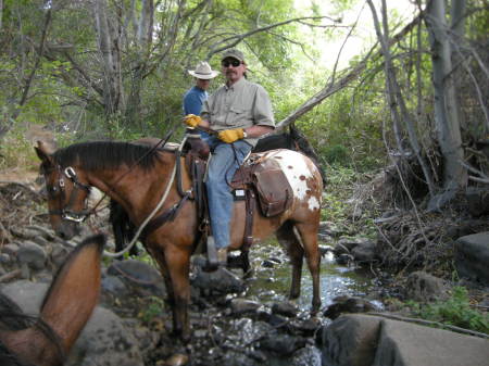 Riding horses...