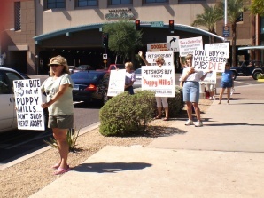 Puppy mill protests