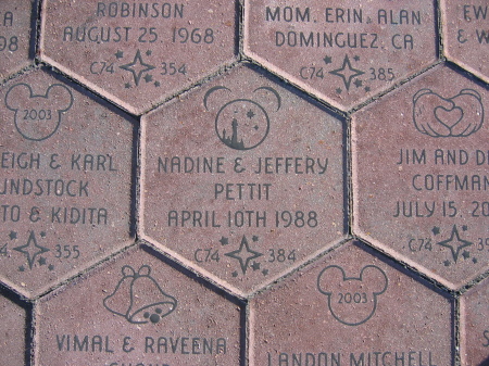 Brick at Disneyland