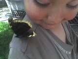 butterfly on james shoulder