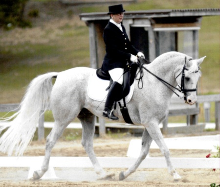 Ghost Dance and Joyce at Dressage Show