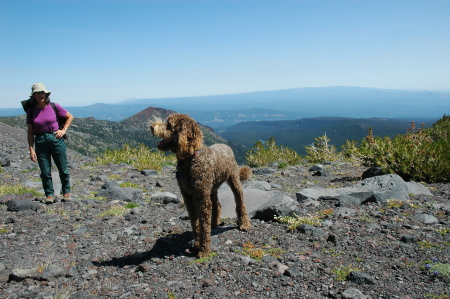 On Mt. Adams with Carrie Boyd and Cosmo.