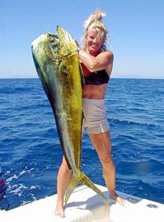 Me and my Dorado (Mahi Mahi)