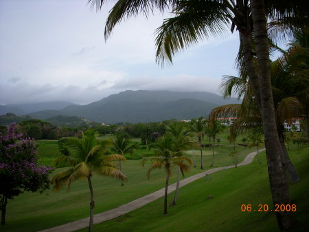 Vista Al Yunque 2008