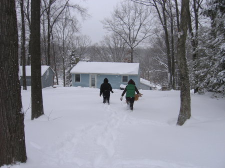 07.under the snow 02-26-2010