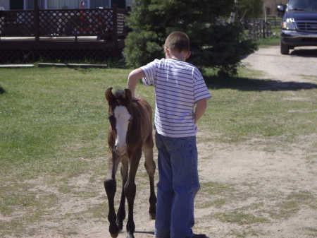 Dave and cobalt