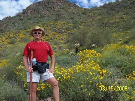 Hiking Close To Home In Az.