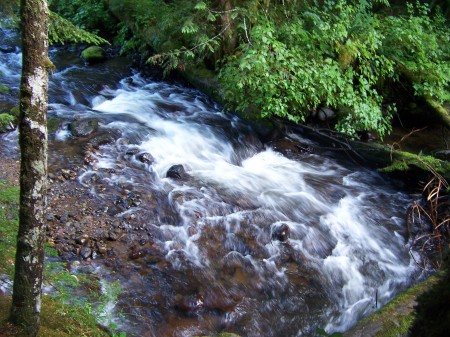 Camp Creek Mt. Hood Nat'l Forest