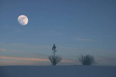 White Sands Moonrise