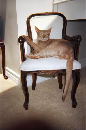 So elegant in his own chair