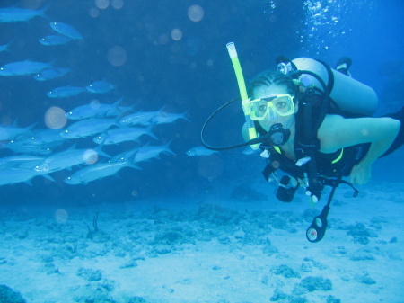 Scuba Diving in the Caymans