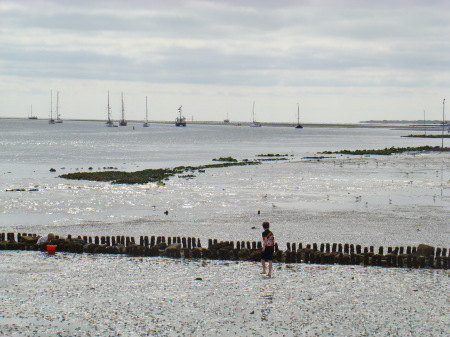 Low tide on the Wadden Sea  Aug 2009