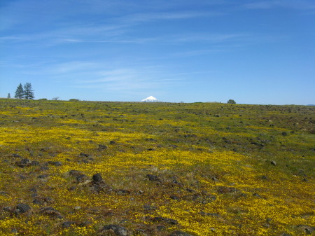 A colorful view of Mt Mcloughlin