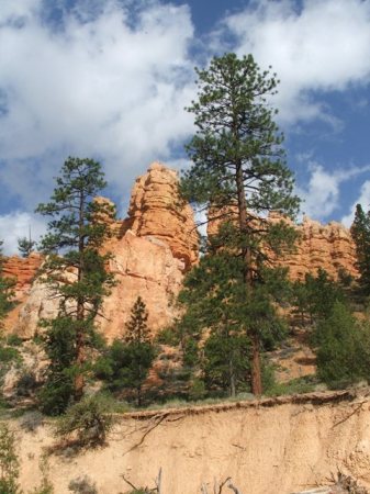 Mossey Cave Trail