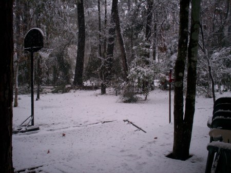 Snowfall in Dec. 2008
