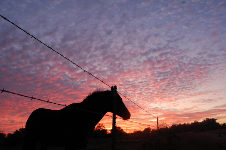 Sun going down, Chisholm's profile