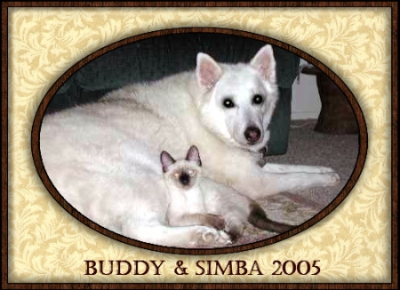 Buddy & Simba