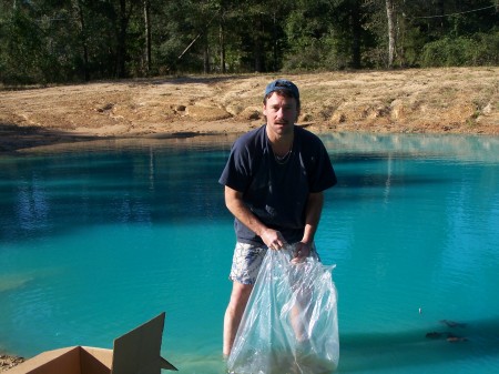 Stocking the pond