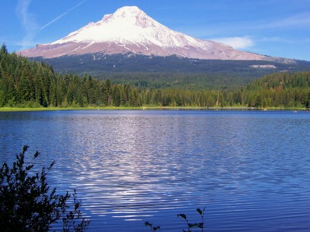 Trilium Lake W/Mt. Hood in background.