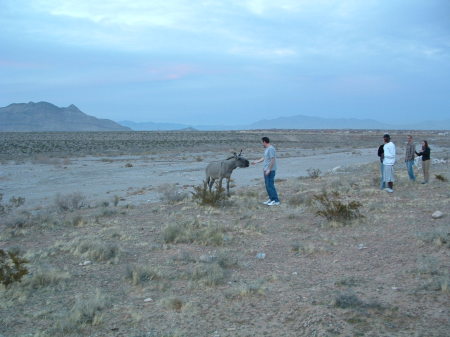 Feeding the local wildlife at Redrock