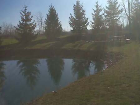 My pond