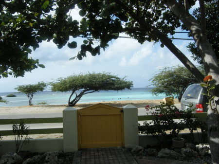 Aruba 2009