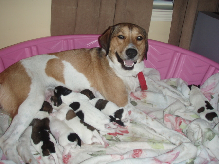 Bella and Babies