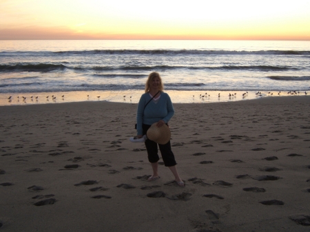 Pacific Shore at Sunset