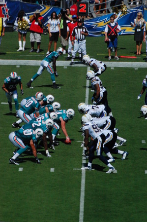 Love Football & The Dolphins