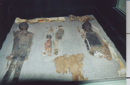 Mummies in Arica, Chile