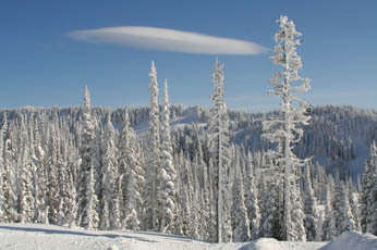 Mt. Rainier in January