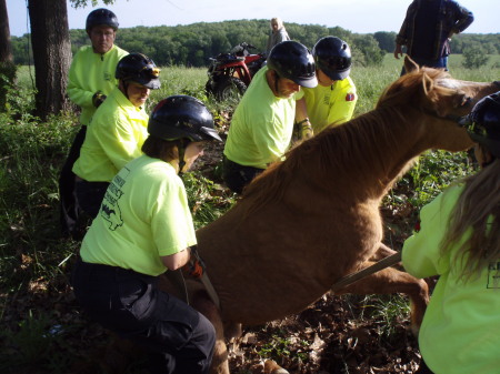 Rescuing a downed horse