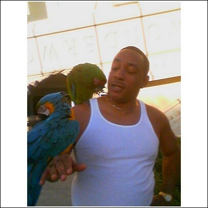 TYRONE and the PARROT