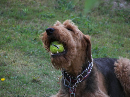 Henri with his TB