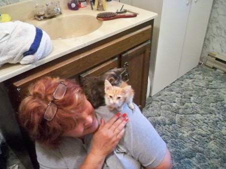 Rescued Kittens