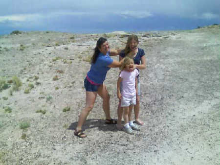 Petrified Forest