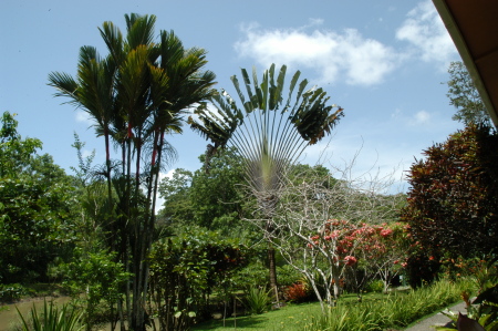 Nice view in Costa Rica