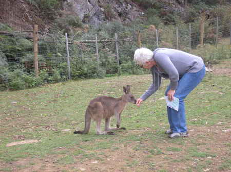 a moment with a small kangaroo