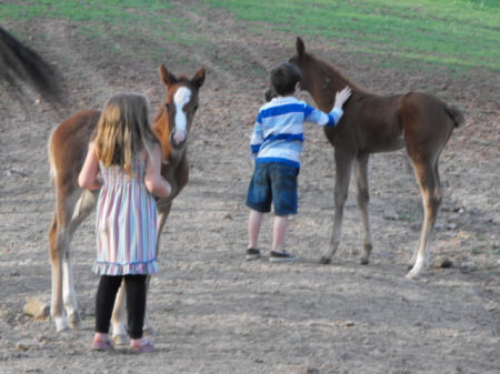 playing with the foals 2009