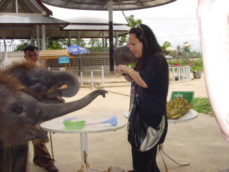 The wife at the croc farm in Thailand