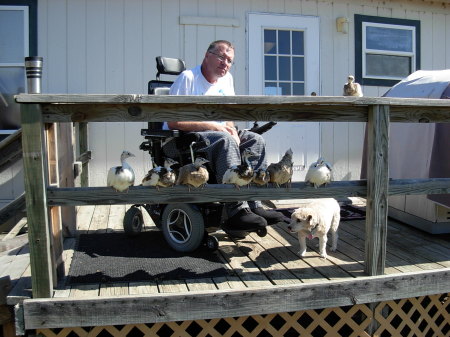 Eddie with dog and young peacocks.