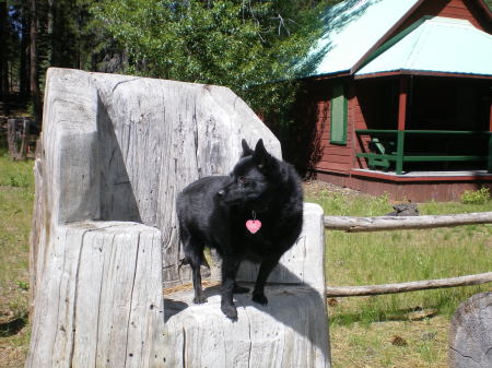 Brynna at Harris Springs