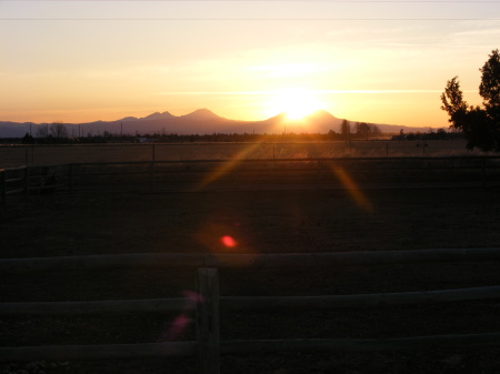 our view from the farm, alfalfa, oregon