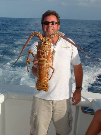 BIG lobster