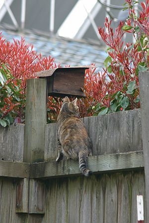 Megan, waiting for lunch? LOL