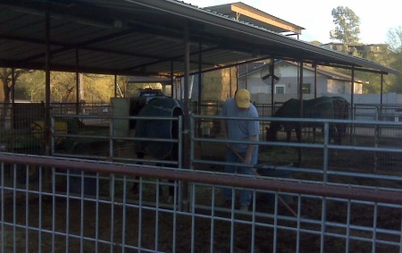 BHT cleaning stalls