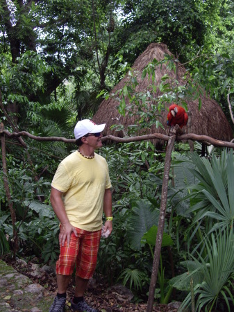 Me and parrot  Mexico