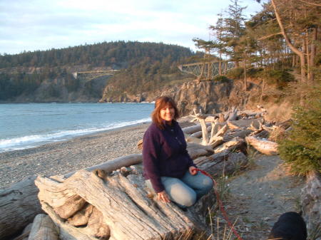 The beach below Deception Pass bridge